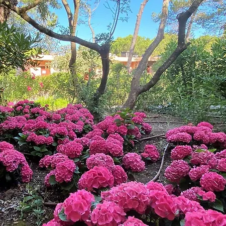 Tuscany Alle Dune Hotel Marina di Castagneto Carducci