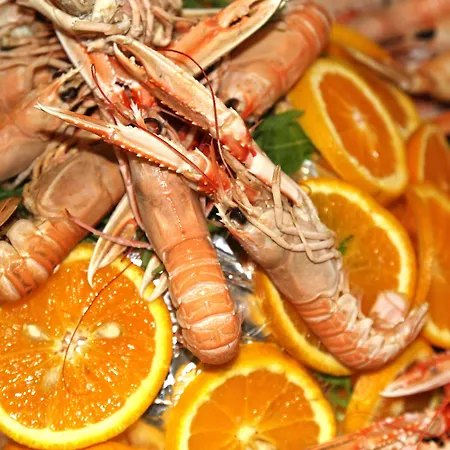 Tuscany Alle Dune 4* Marina di Castagneto Carducci